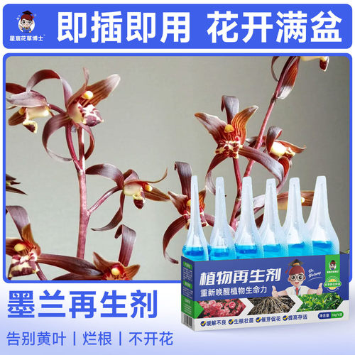 墨兰专用肥料植物再生剂家用盆栽种植营养液兰花多箭花卉开花肥料