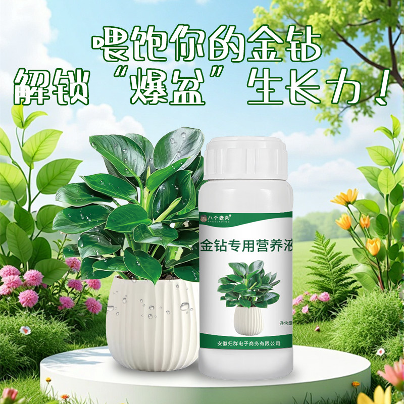 家用园艺营养液肥卷边绿植通用免稀释植物花肥料专用140ml