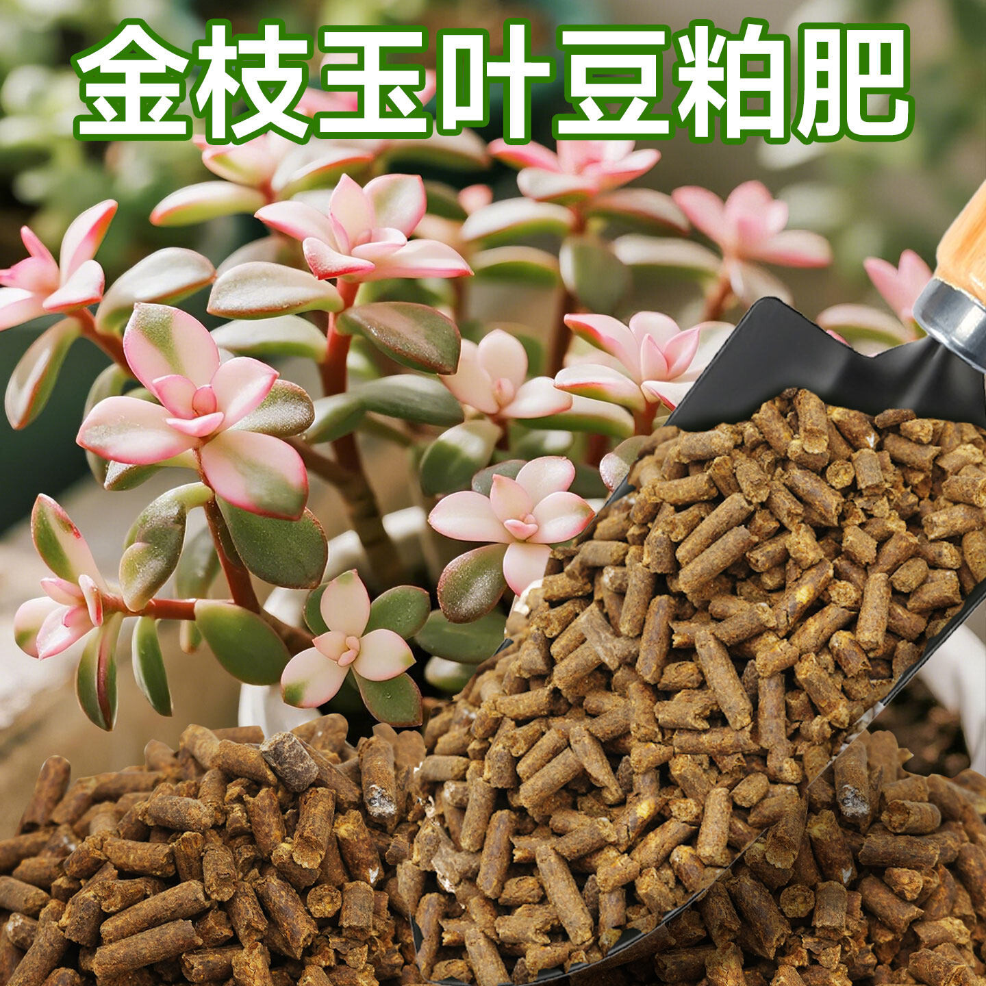 金枝玉叶专用发酵有机豆粕肥室内盆栽种植多肉增肥专用腐熟颗粒肥