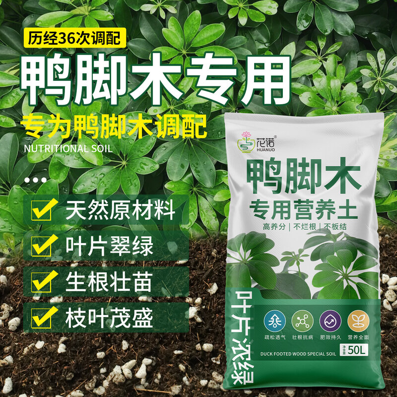 鸭脚木专用土盆栽营养土家用客厅绿植专用土黑金刚鸭脚木有机肥料