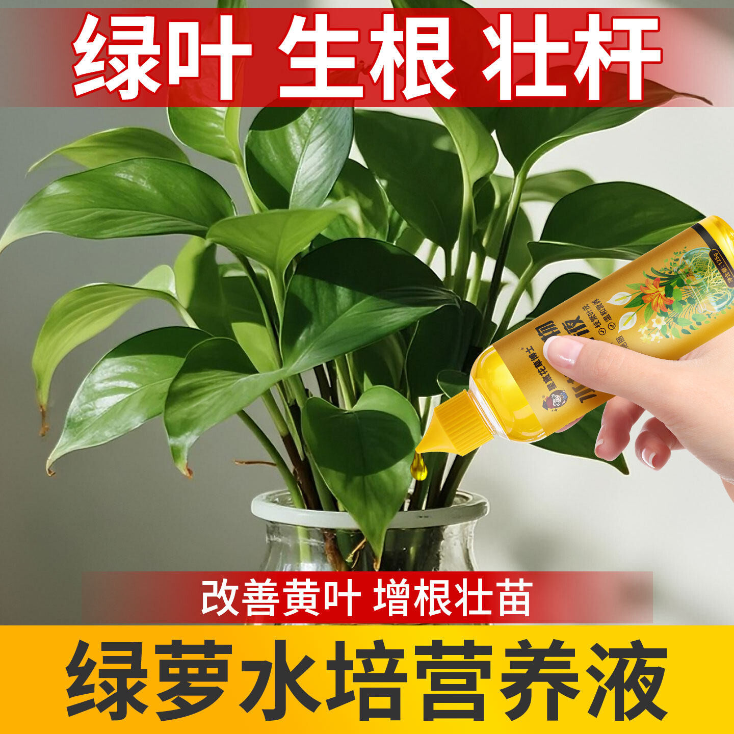 黄金葛专用水培营养液室内盆栽植物通用型营养水防黄叶液体花肥肥