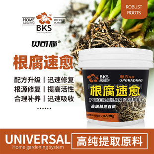 贝可施根腐速愈植物通用型营养液根腐净根腐灵促进根系微生物菌剂