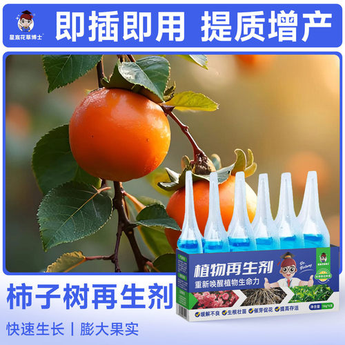 金桔专用肥料植物再生剂盆栽种植营养液橘子树增产果实膨大通用肥