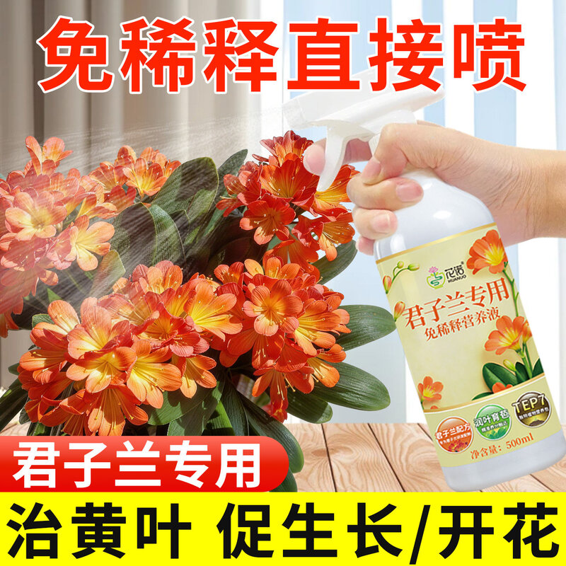 君子兰免稀释营养液治黄叶促开花催花家用盆栽兰花专用肥料叶面肥