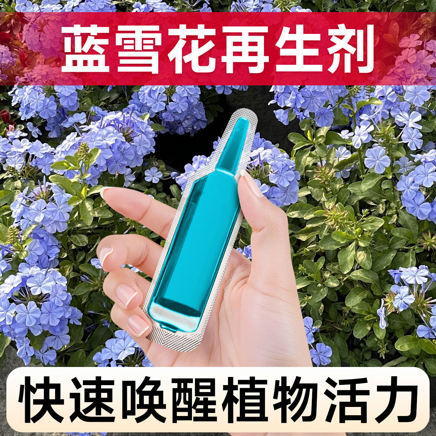 蓝雪花专用植物再生剂家用盆栽种植营养液绿植花卉通用花肥开花剂
