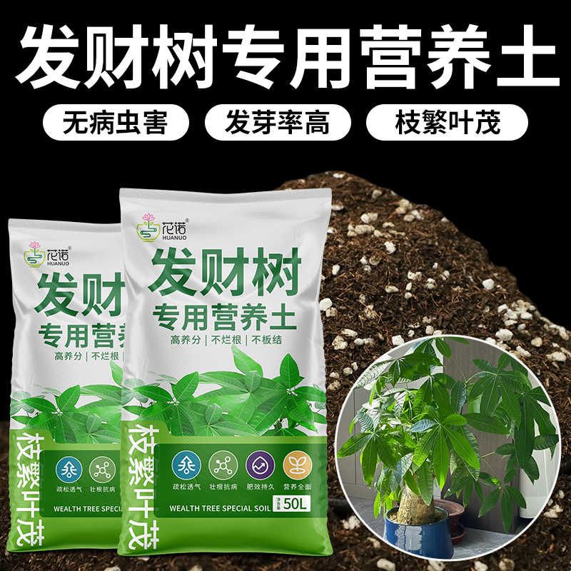 发财树专用营养土花土发财树肥料专用肥土家用盆栽绿植种植土肥料