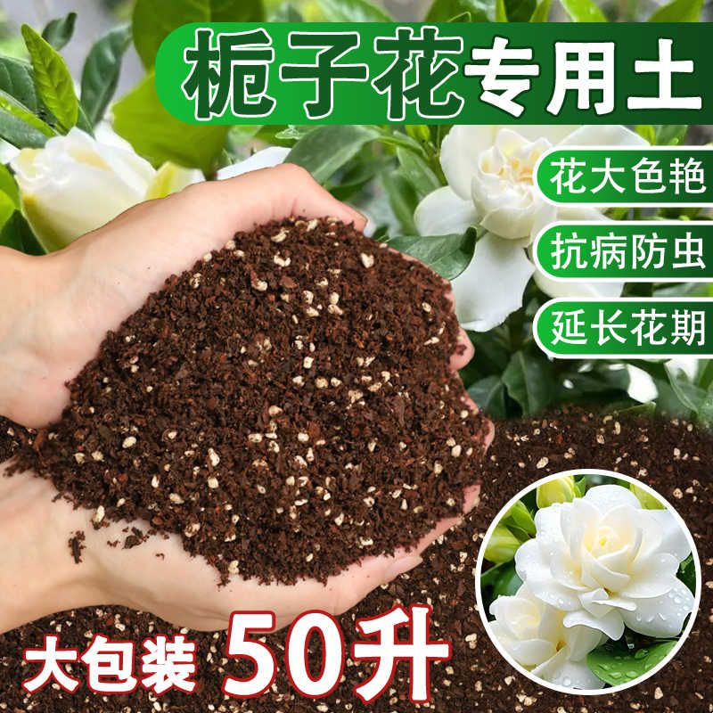 栀子花专用土营养土栀子花肥料专用肥通用桅子花土壤泥土种植土