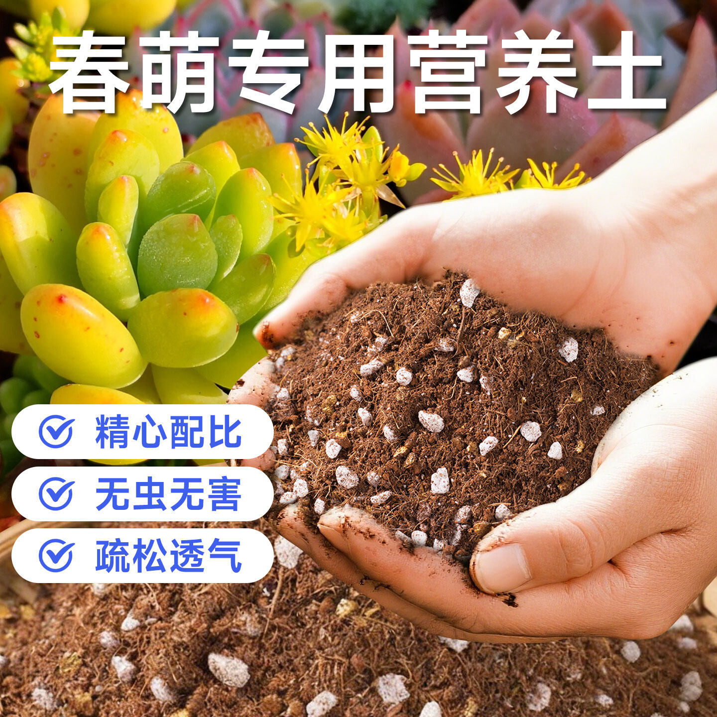 春萌专用营养土室内阳台花盆换盆种植土壤绿植多肉通用有机泥炭土