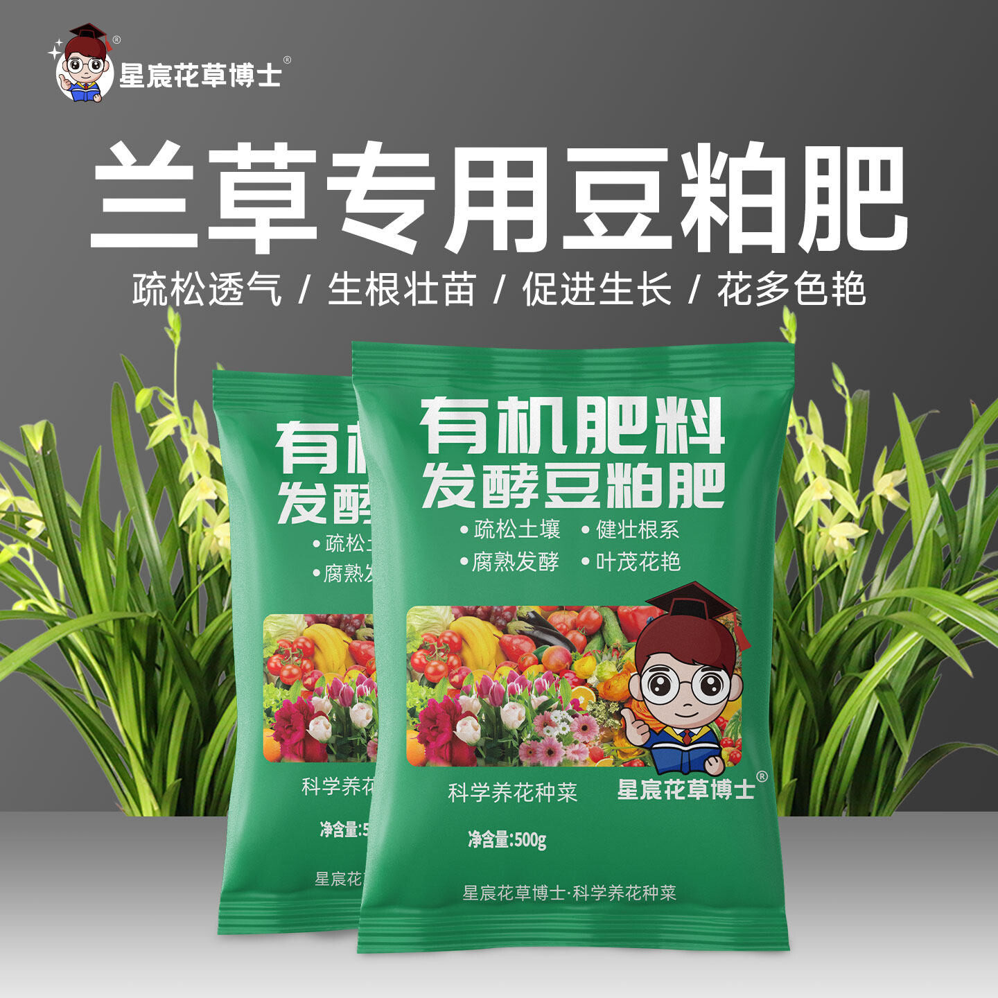 兰草专用肥发酵豆粕有机肥家用室内盆栽种植花卉兰花通用颗粒肥料