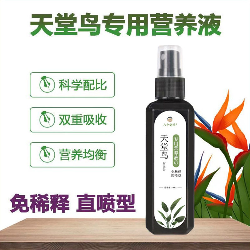 厂家供应八个老头天堂鸟专用营养液严重黄叶卷边根部枯萎免稀释肥