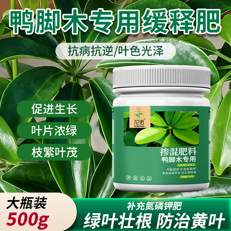 鸭脚木肥料专用复合肥鹅掌柴鸭掌木绿植盆栽叶子发黄专用控释肥