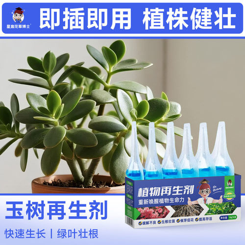玉树专用肥料植物再生剂家用浓缩营养液多肉盆栽种植花卉剂通用肥
