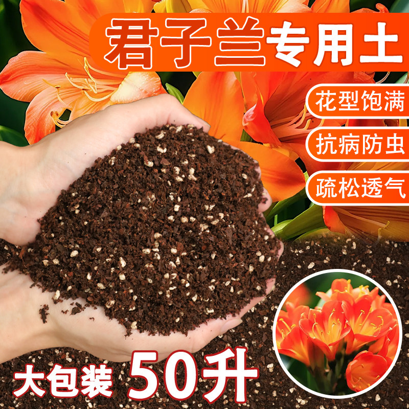 君子兰专用土营养土兰花土腐殖腐叶土盆栽种植肥料松土壤家用透气