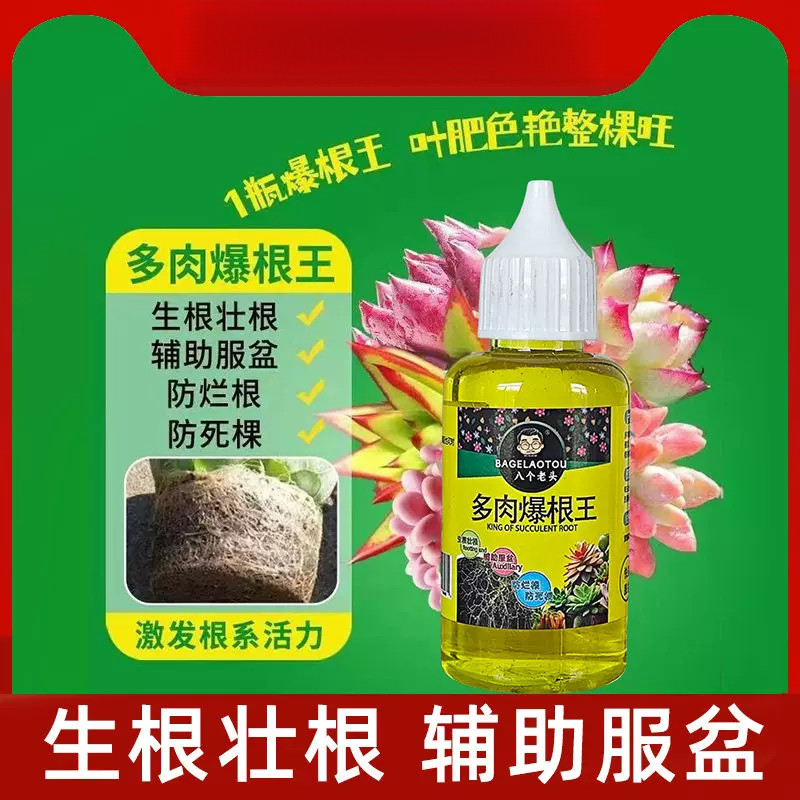 八个老头多肉爆根王快速生根液壮苗剂多肉植物专用养花水肥营养液