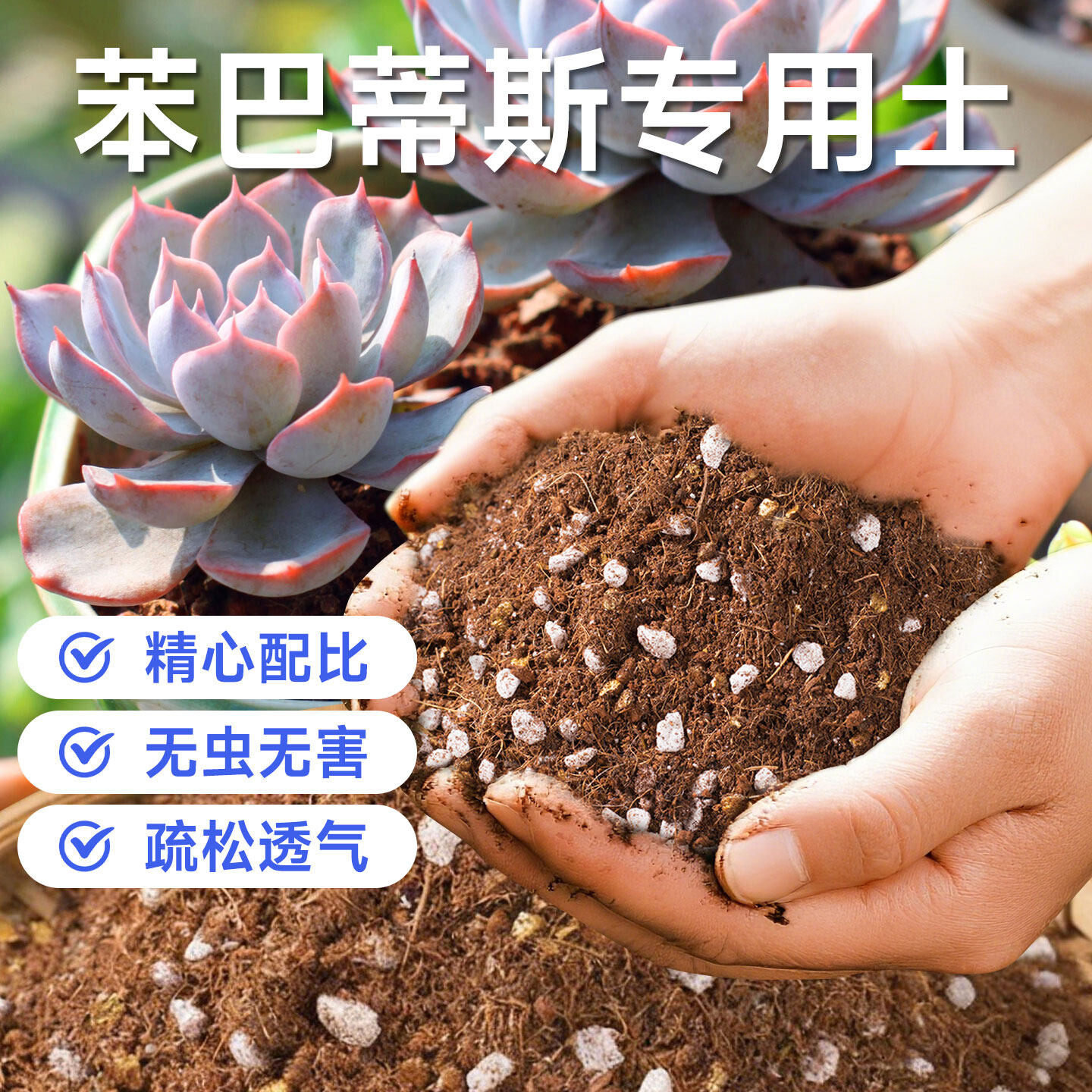 苯巴蒂斯专用营养土多肉种植土家用防烂根盆栽换盆用土有机多肉土