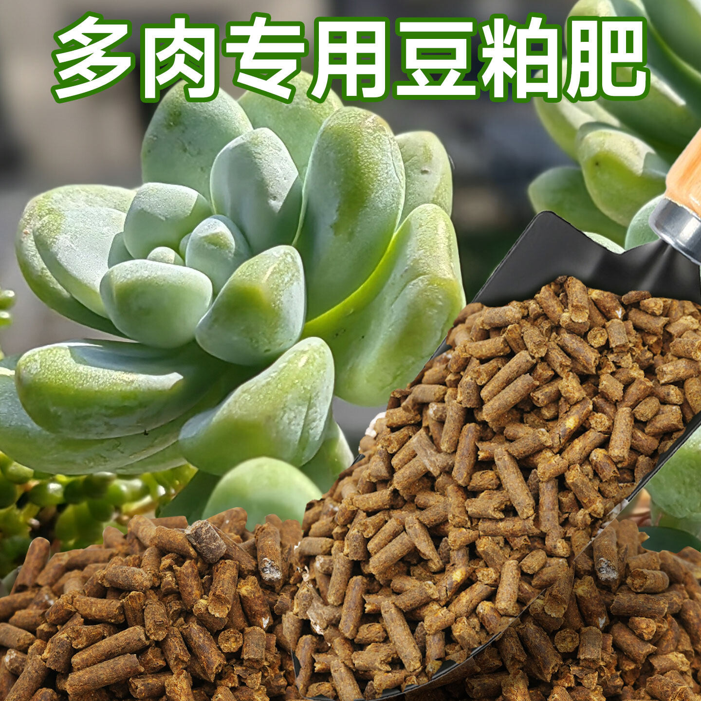 多肉专用豆粕肥发酵有机肥家用粉姬莲钱串子多肉植物通用大豆肥料