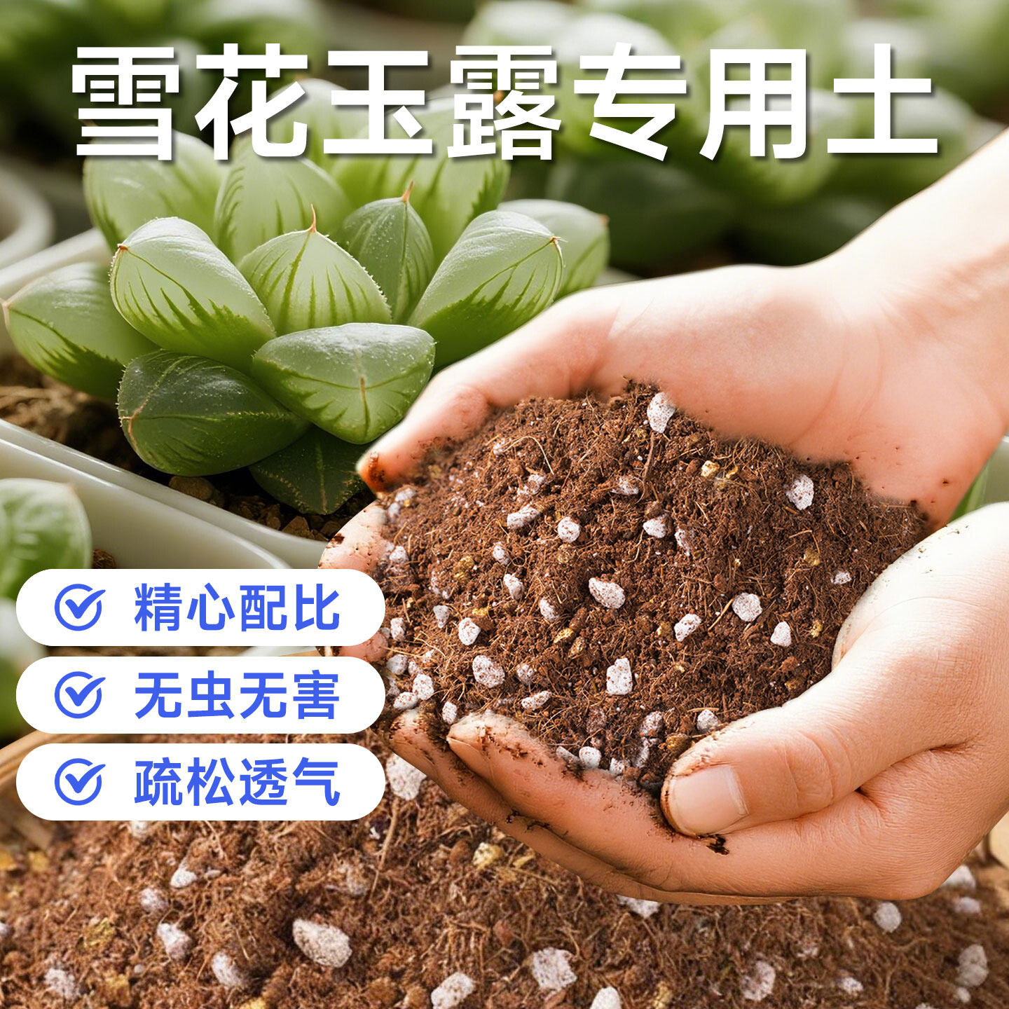 雪花玉露营养土多肉通用专用种植土盆栽换盆花土防烂根有机泥炭土
