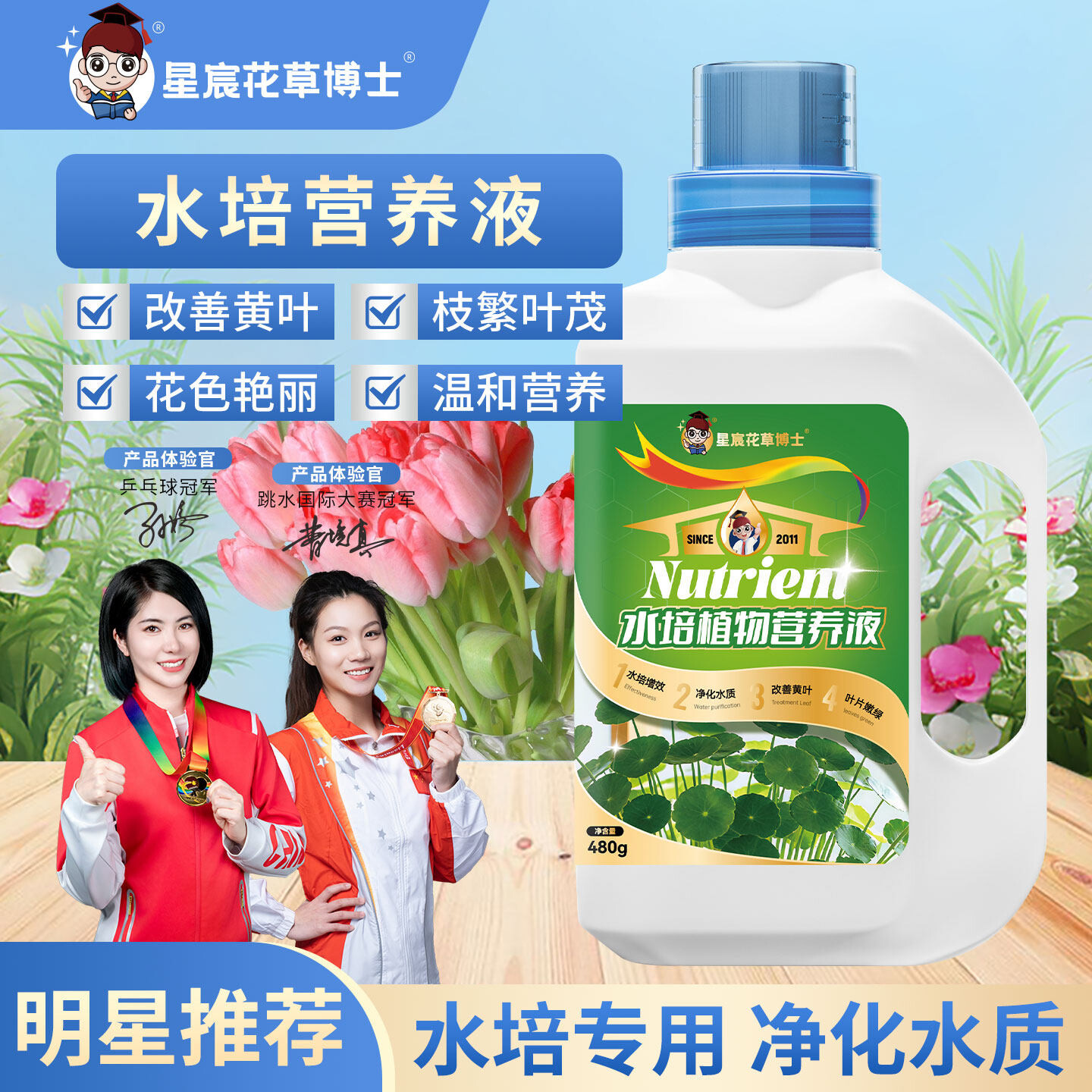 水培植物营养液通用型富贵竹发财树多肉鲜花室内盆栽花卉养花肥料