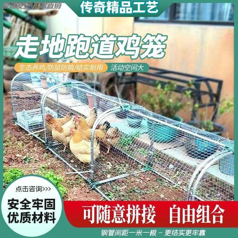 跑道走地鸡笼子隧道笼大号铁丝网