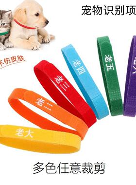 宠物新生小狗小猫识别项圈幼犬