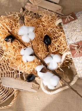 仿真花INS风5头棉花枝干花家居装饰婚庆路引花墙假花MW61182