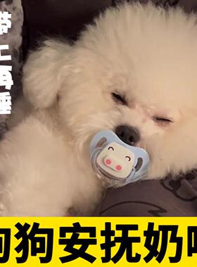 比熊犬专用奶嘴狗狗安抚小狗宠物
