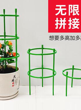 花架子室内家用爬藤架火龙果月季