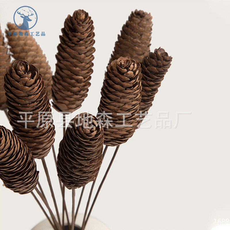 自然松果干花松塔鱼鳞果云杉果单支家居摆设拍摄道具永生花