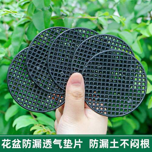 花盆垫片专用多肉盆景防漏土底座
