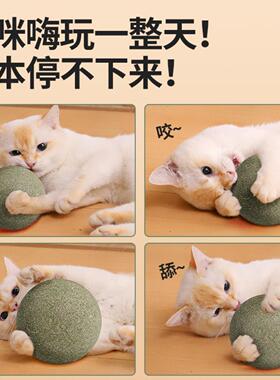 猫玩具超大薄荷球猫咪自嗨解闷