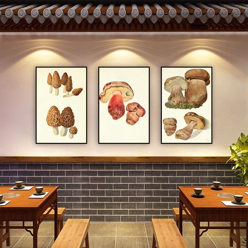 蘑菇装饰画云南野生菌菇松茸菌菇类标本复古海报汤店餐饮店墙挂画