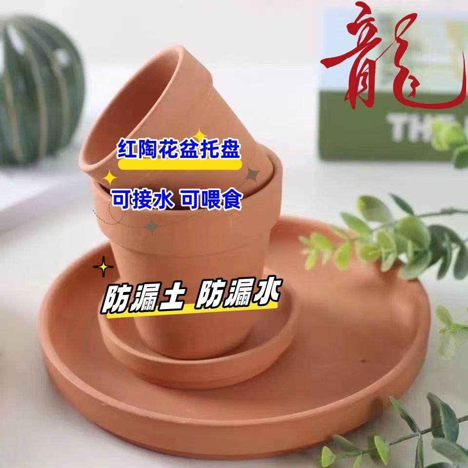 透气红陶多肉花盆托盘圆形培植简约防漏土防水可喂食鱼繁殖