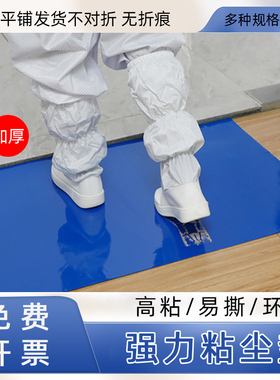 粘尘垫24*36可撕式除尘垫无尘室车间防静电地垫家用PE垫60*90蓝色