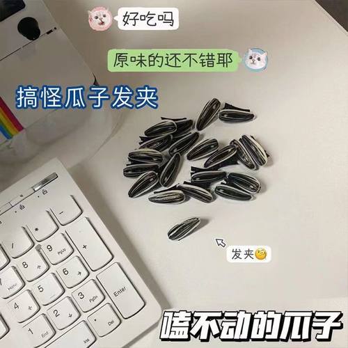 创意仿真瓜子小发夹少女趣味奇奇怪怪的发卡搞怪发饰迷你刘海夹子