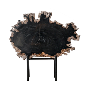 天然木化石切片摆件桌面装饰树化石办公室桌面小摆饰品送礼含支架