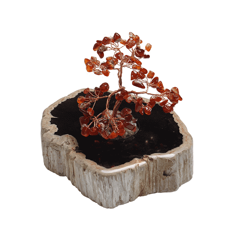 木化石天然粉红水晶玛瑙原石客厅博古架摆件家居饰品收藏送礼