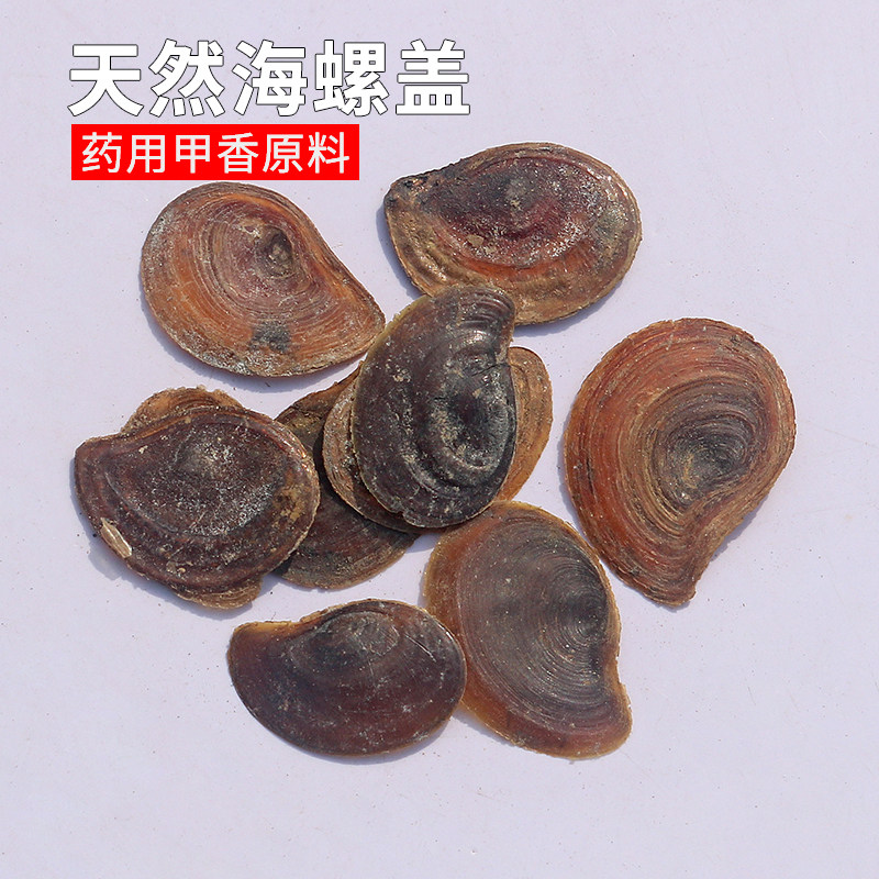 甲香南格藏香用药海螺盖螺厣500g古法传统合香专用天然香材料包邮