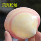 天然海螺贝壳工艺品粉蛤白色珍珠贝精美礼物收藏摆件DIY满 包邮