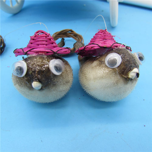 热卖河豚鱼气鼓鱼刺豚标本带竹编帽海洋生物鱼皮汽车家具挂件