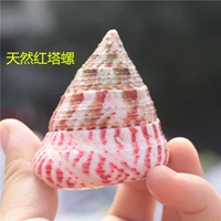 Натуральные раковины раковины красные пятна, эритема улитка красная башня улитка улитка вода вода рыб ландшафт творческий подарок полная бесплатная доставка