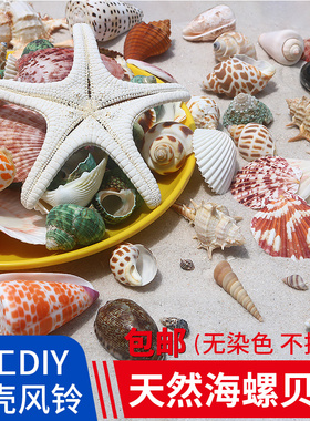 螺贝艺天然海螺贝壳寄居蟹替换壳