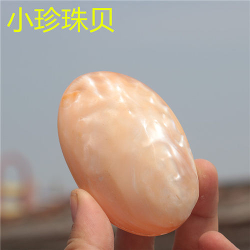 天然海螺贝壳珍珠贝把件送朋友小礼物家居装饰特色工艺品满包邮