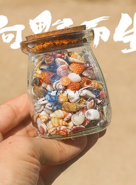 天然海螺贝壳手工diy材料漂流瓶贝壳收纳盒相框装饰迷你海螺包邮