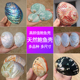 天然大白鲍鱼壳各种收藏烧鼠尾草容器具首饰收纳家居装 饰招财摆件