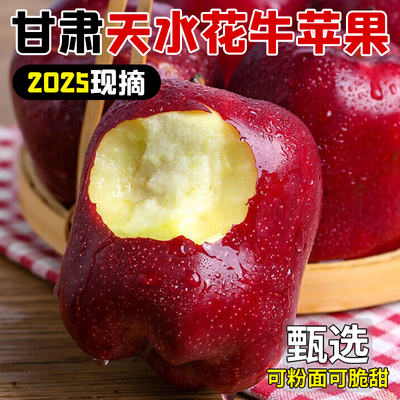 甘肃花牛苹果粉糯香甜