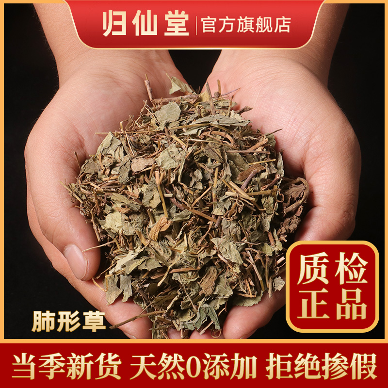 精选正品肺型草500g新货