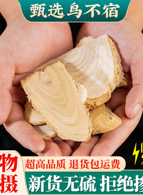 鸟不宿500g克中药材非野生 鹰不泊 楤木根 葱木 鸟不落 新货 包邮