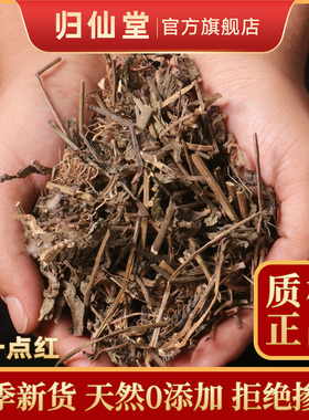 一点红中草药叶下红 中药材羊蹄草新鲜晒干红叶草红背叶草500g