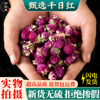 千日红花500g特级千日红干花散装可配玫瑰花茶柠檬片茉莉花茶叶