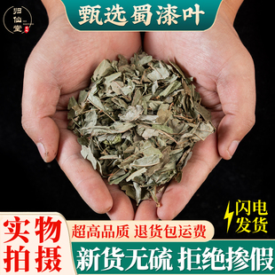 中药材 新货 蜀漆 鸡屎草 鸭屎草 蜀漆叶 常山 500g包邮